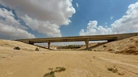 צילום: שוקי ביאנקו